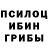 Псилоцибиновые грибы Psilocybe Rani Rohim