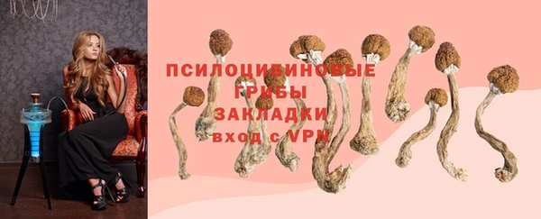 МДПВ Балабаново